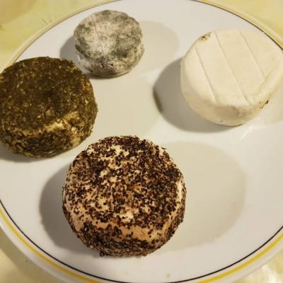Les fromages de chèvres frais, 1/2 secs, secs, au poivre, aux herbes,.. BIO de Fabrice