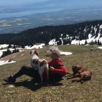 Dans le JURA